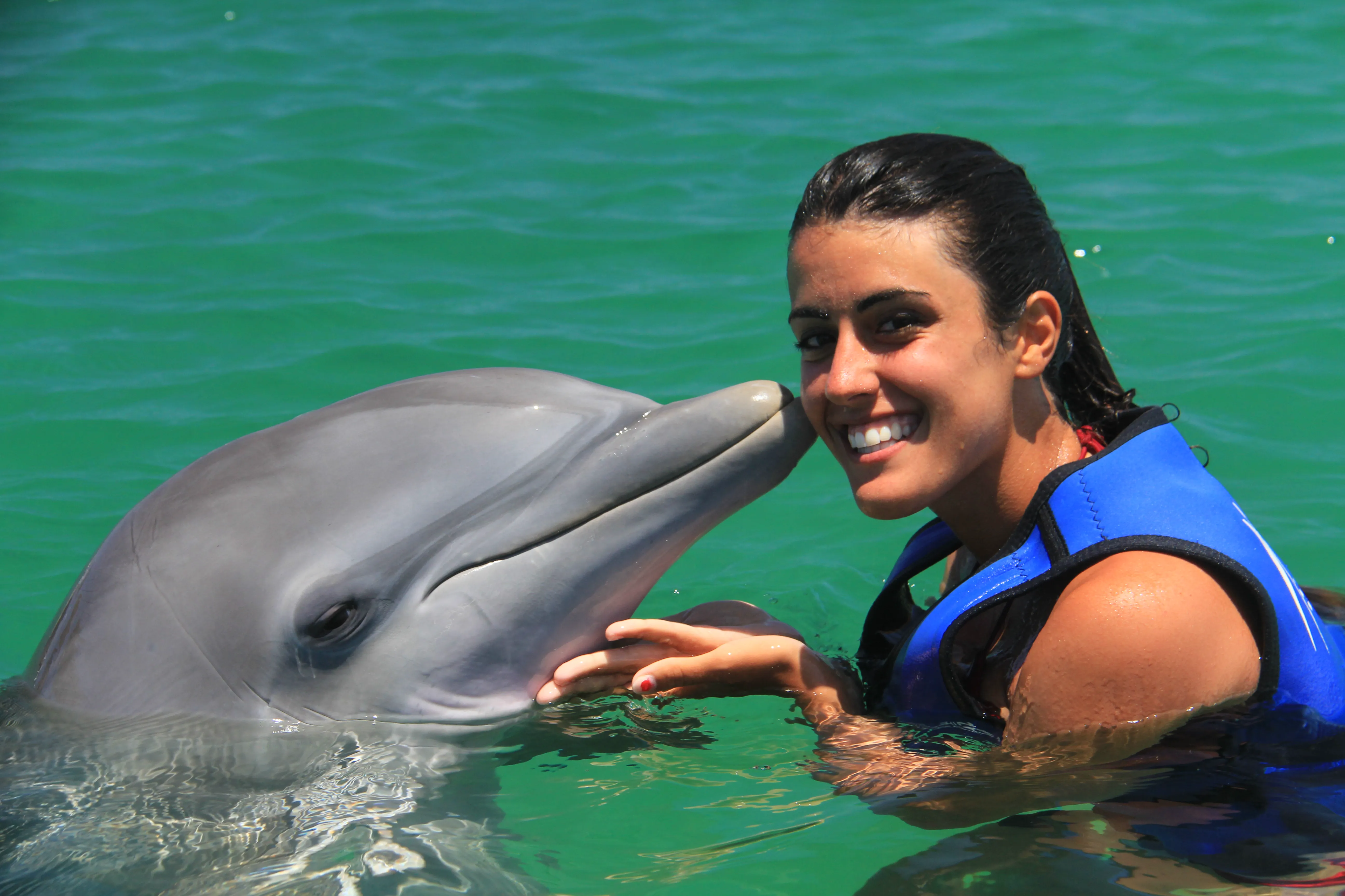 Nado con Delfines